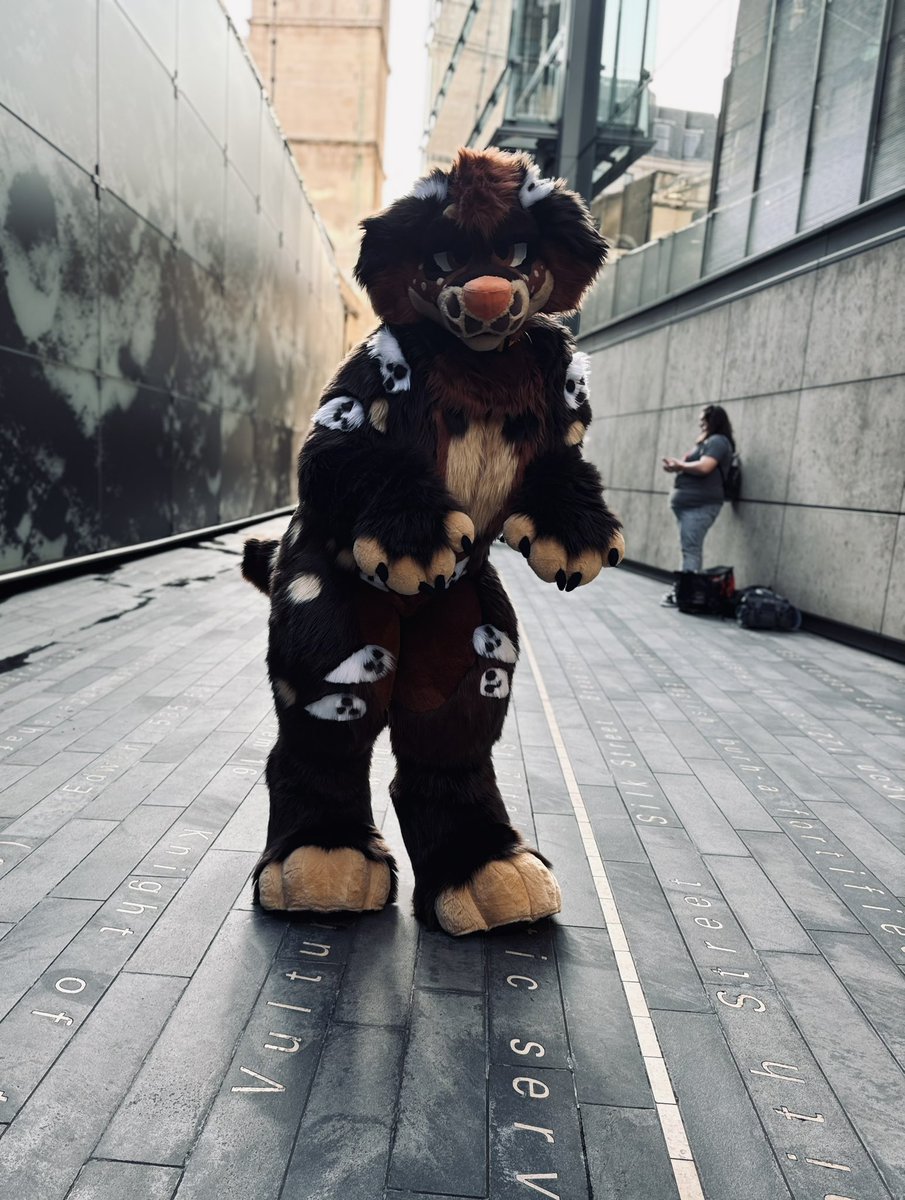 Suiters! Show off your babies!💕
I’ll start the chain!
1.evergreen the double ear munchkin cat
2. Puppy(still choosing a name)
3.Haunt the King Charles spaniel 
.
#furry #fursuiter #fullsuiter #ukfurry #furryuk #furryfandom #fursuit #furries