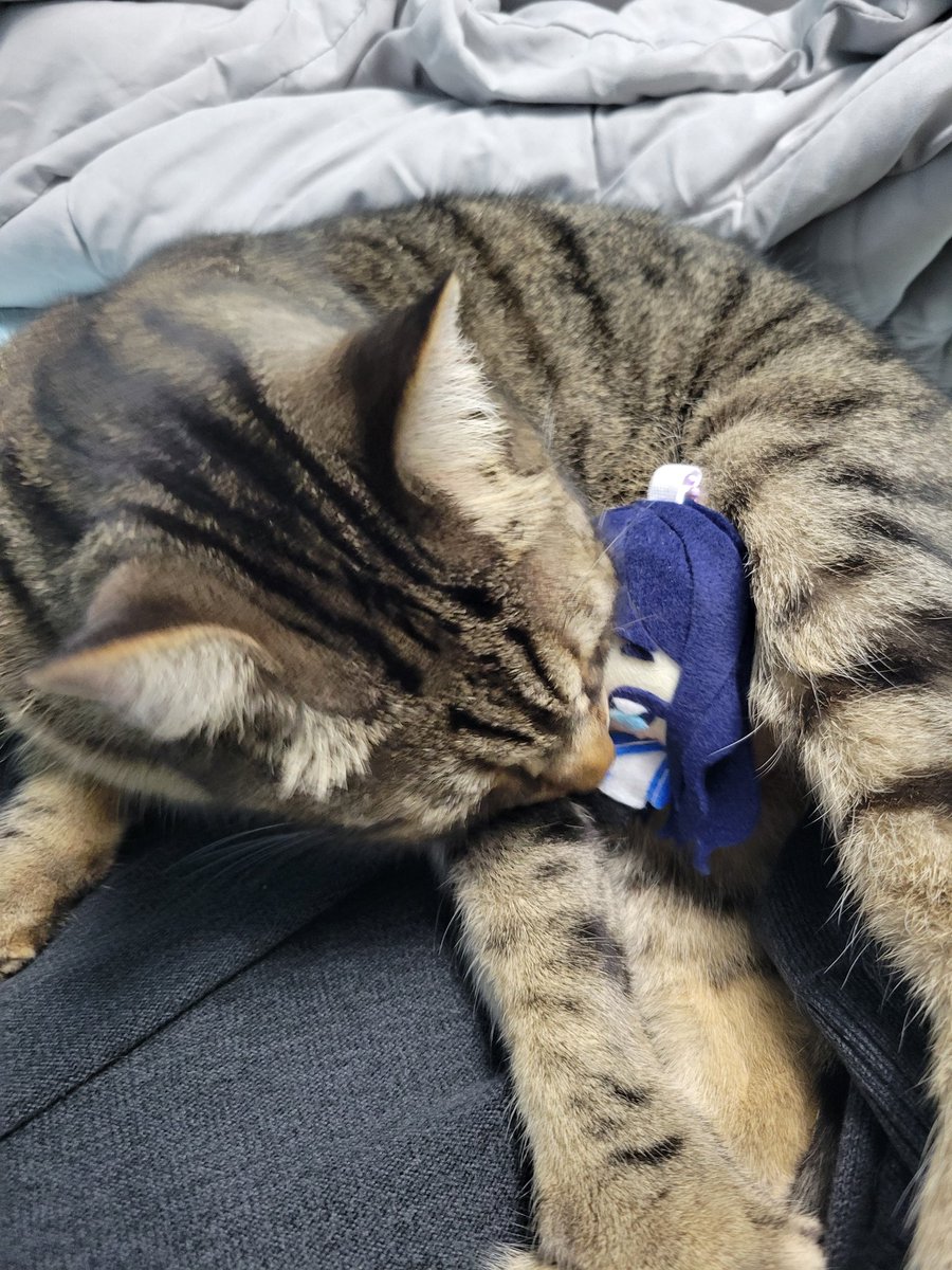 Manny 🌊 VTuber tweet media