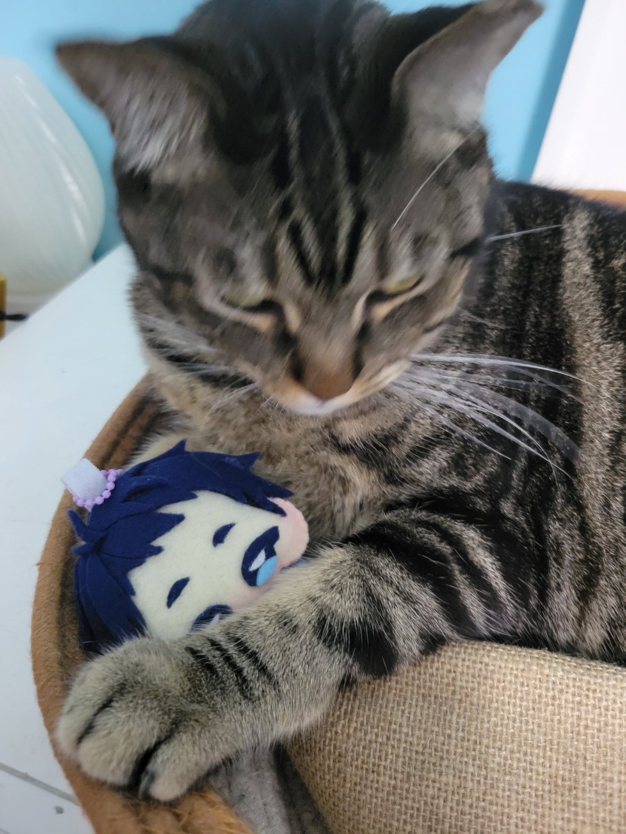 Manny 🌊 VTuber tweet media