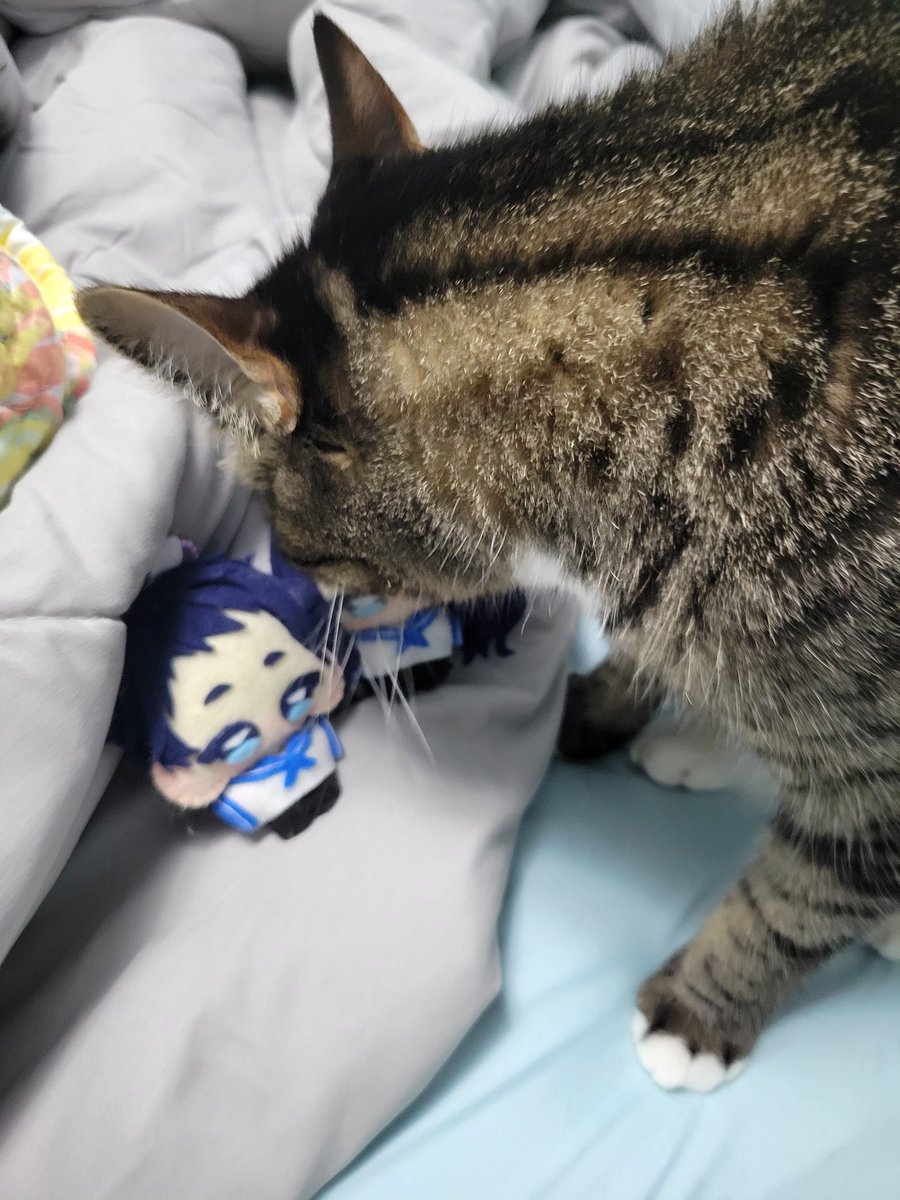 Manny 🌊 VTuber tweet media