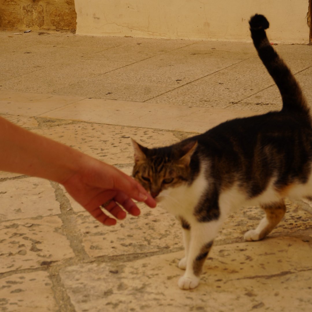 5eme jour d’italie 🇮🇹