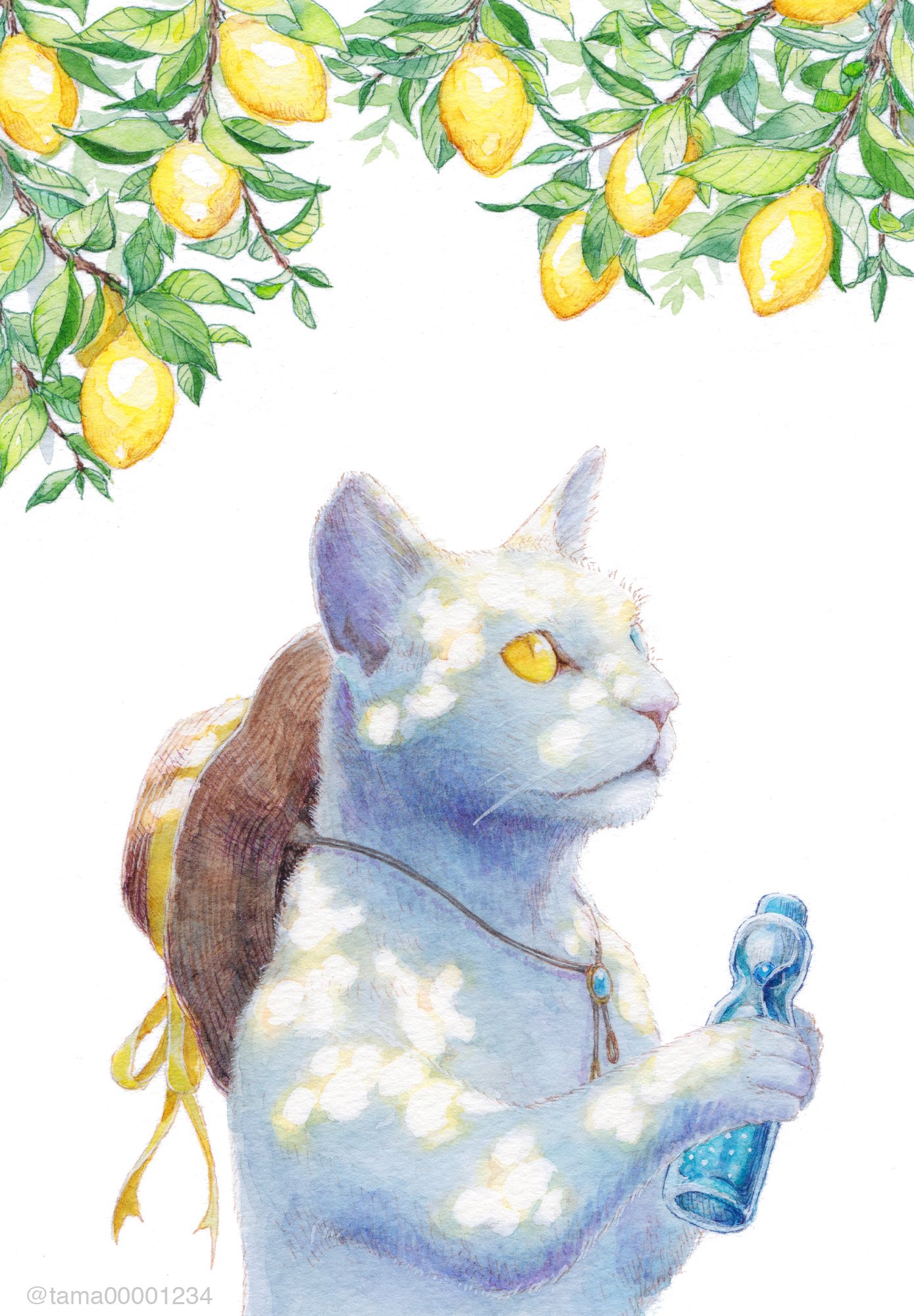tama (@tama00001234) / X