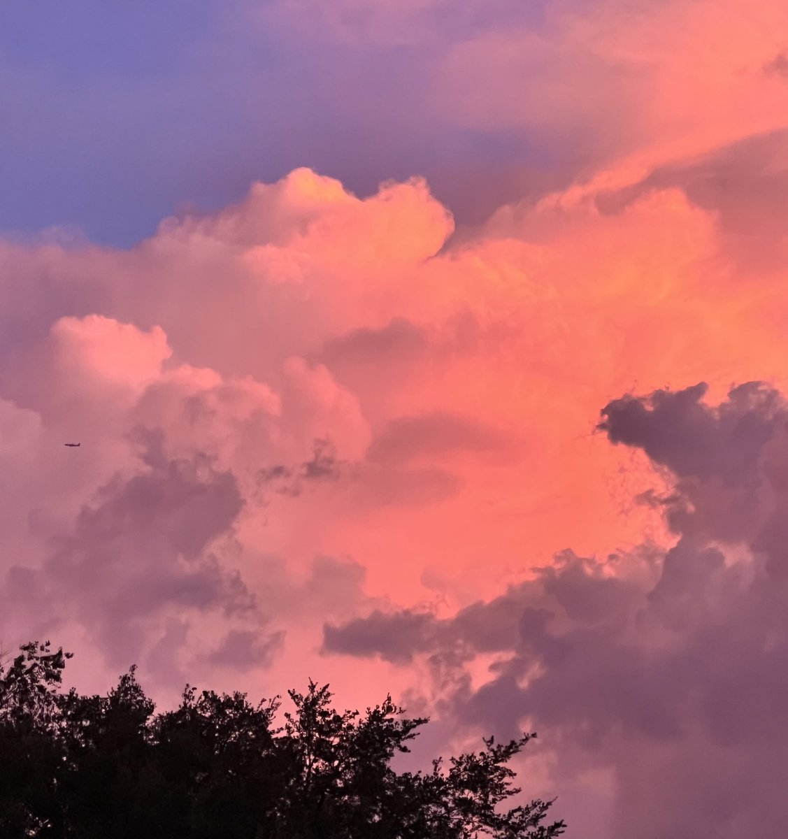 axsha____'s tweet image. cotton candy clouds