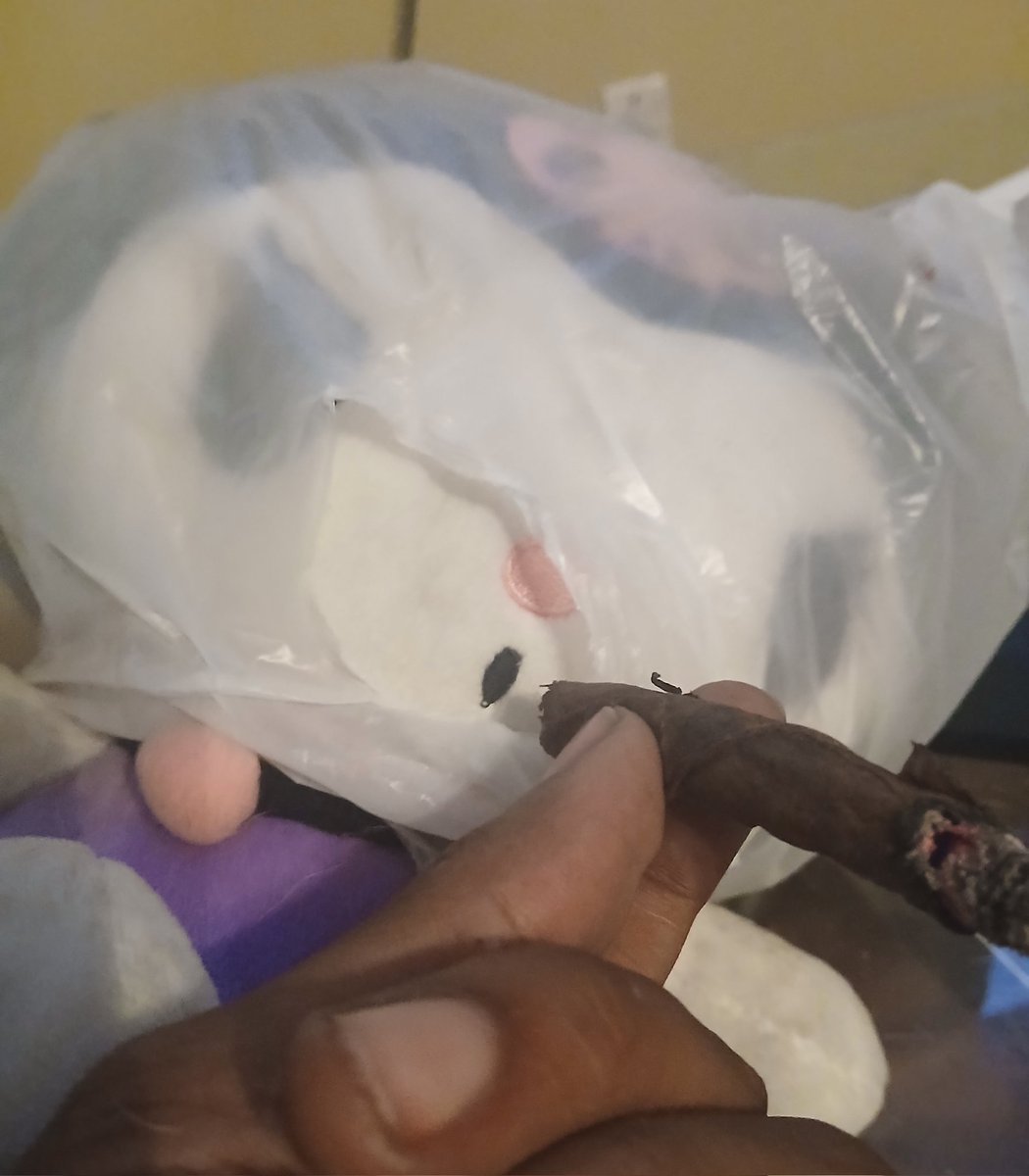 We smoking we made up she pmo but that's bestie