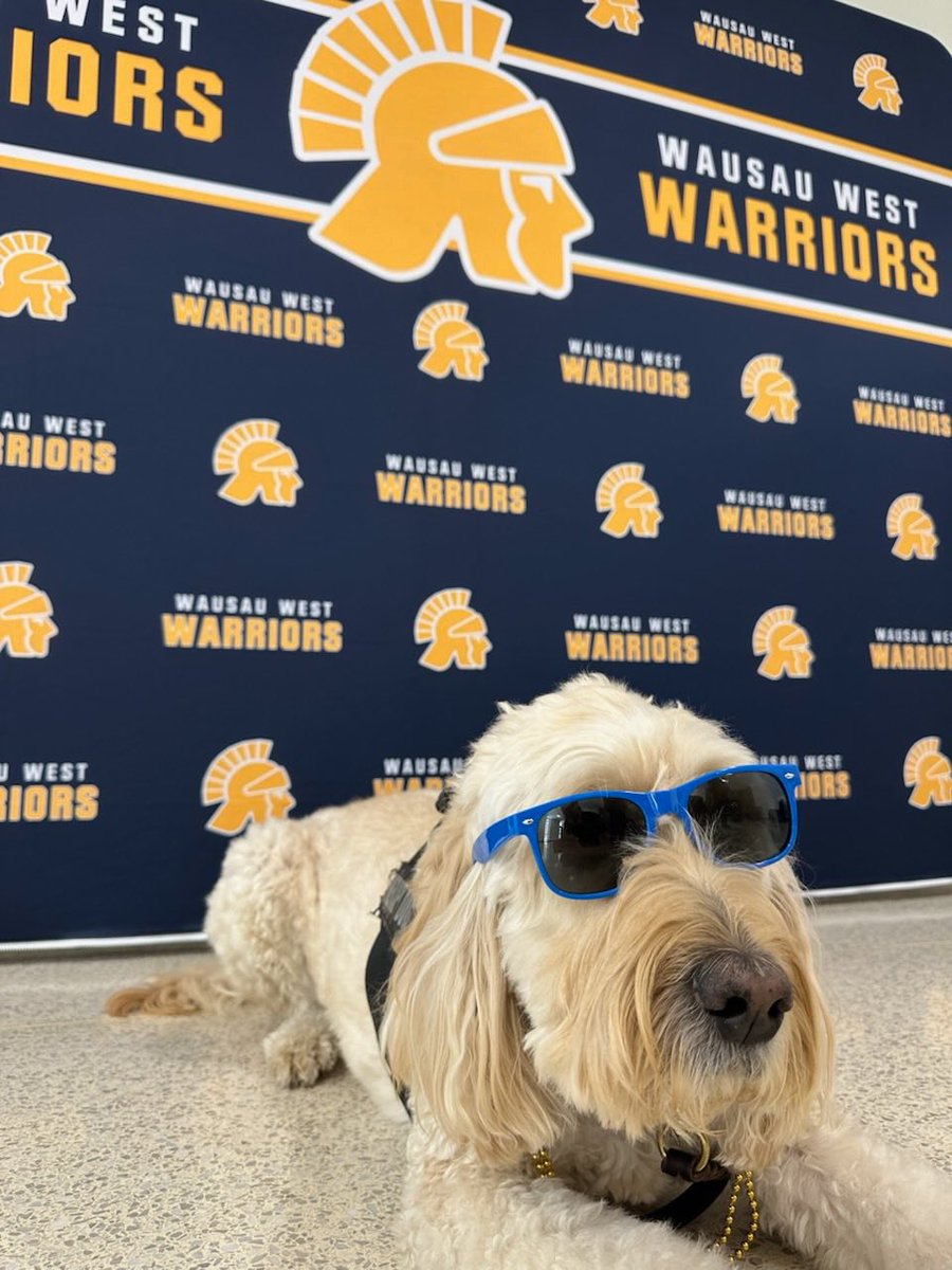 Happy 9th Birthday, Theo! 
Theo, our beloved #WausauSchools therapy dog and partner to School Resource Officer Shremp, is such an important part of Wausau West. We hope you enjoyed your Briq’s ice cream and steak dinner, buddy! 
Join us in wishing Theo the happiest of birthdays!