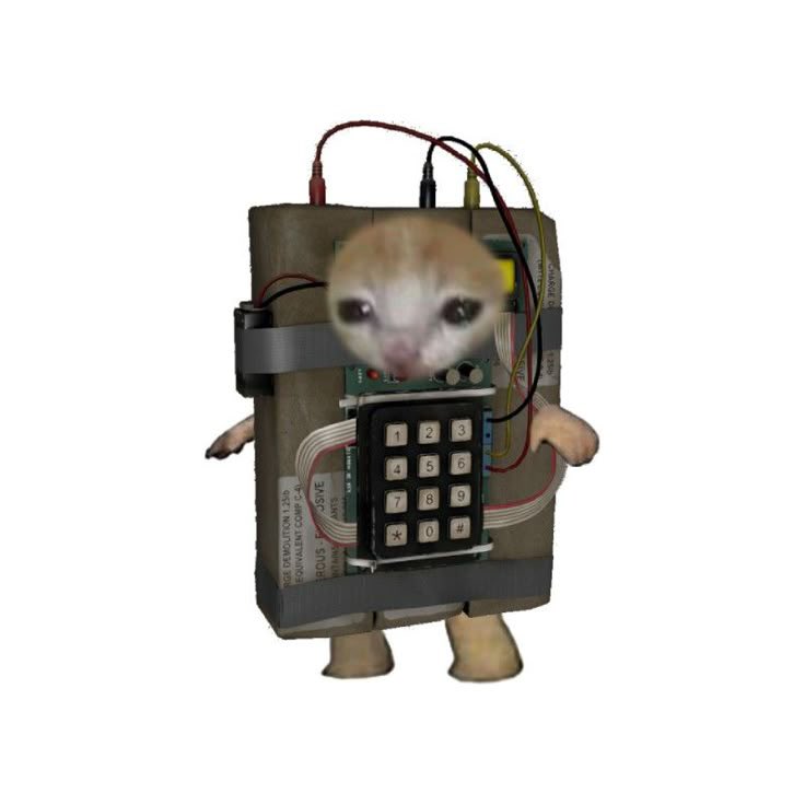 climbing back to 10k!!
twitch.tv/sadderdazetv
tiktok.com/@sadderdazetv
•
#CounterStrike #cs2 #twitchstreamer #TikTok #fps #competitive #pcgaming #rage #esports #gamingtwt #premier #Valve #egirl #twitchgirls #gamergirl #promo #streamertwt #SmallStreamersConnect #promotwt