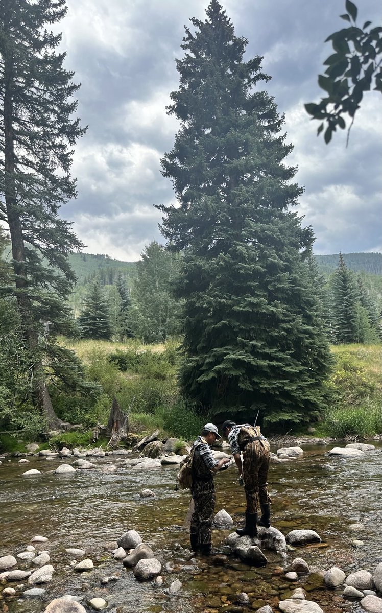 Happiest place on earth.