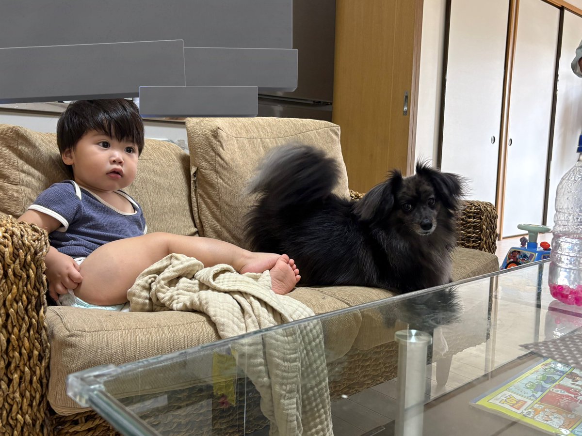AAA_LAFU's tweet photo. ケツ掻きながらエルと2人でテレビ見てんのジワる https://t.co/KhupNesXVu