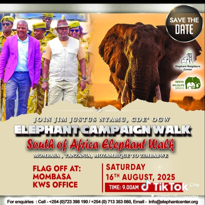 NyamuJim's tweet photo. It's tomorrow! The awaited #Elephant awareness and campaign walk dabbled #EastSouth Africa edition will be flagged off from @KWSKenya Mombasa Ground August 16th 9am . We shall walk through Moi Avenue and cross over to Likoni Shika adabu Mombasa /Kwale border . @InteriorKE https://t.co/XqxMxxI5n4