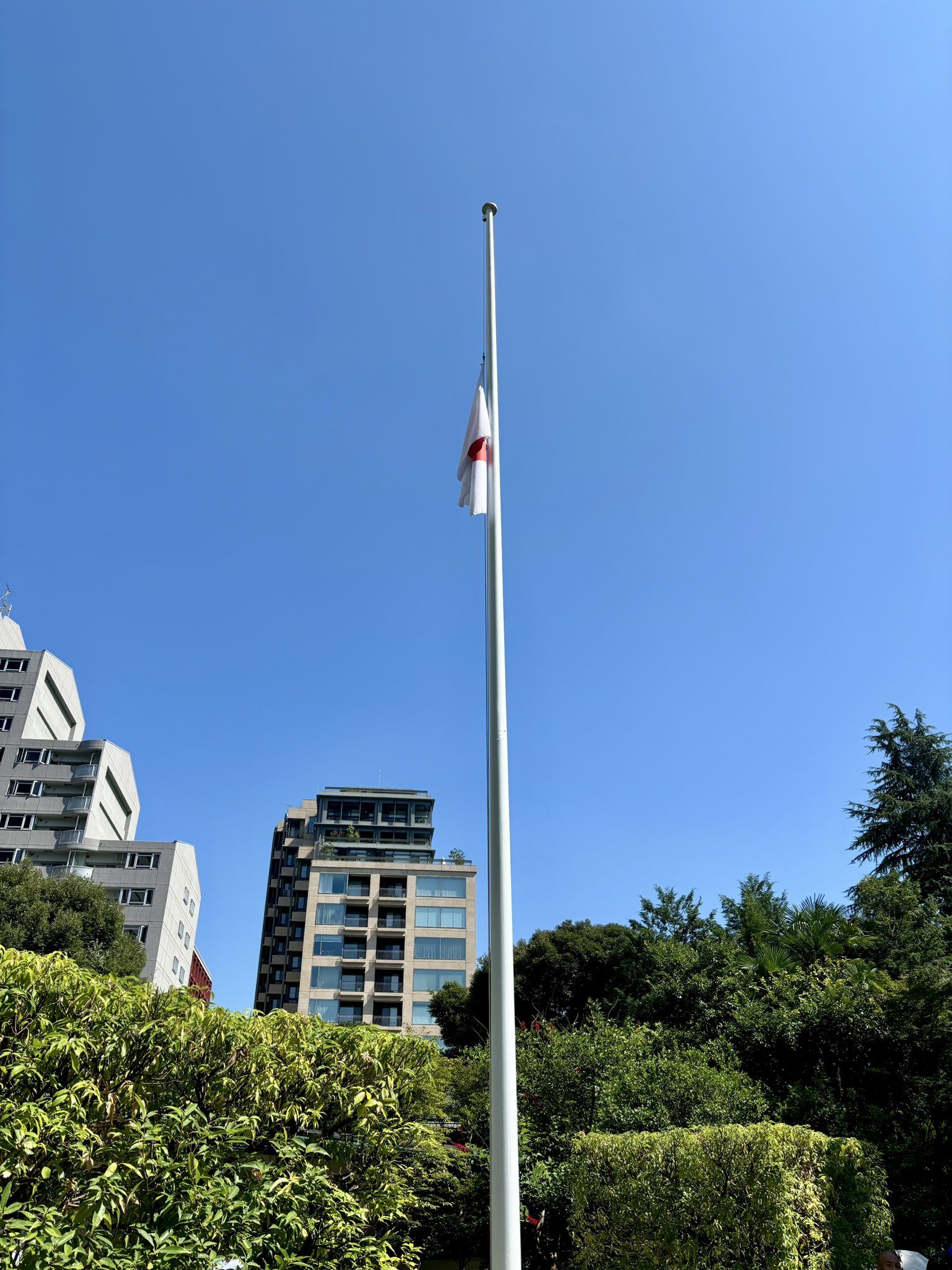 靖国神社50銭昭和18年「新品未使用」「3,5,8の法則❗」有り透かし有り,本物 靖国50銭札 政府紙幣50銭 昭和18年 美品〜並品 : yuuhiflower