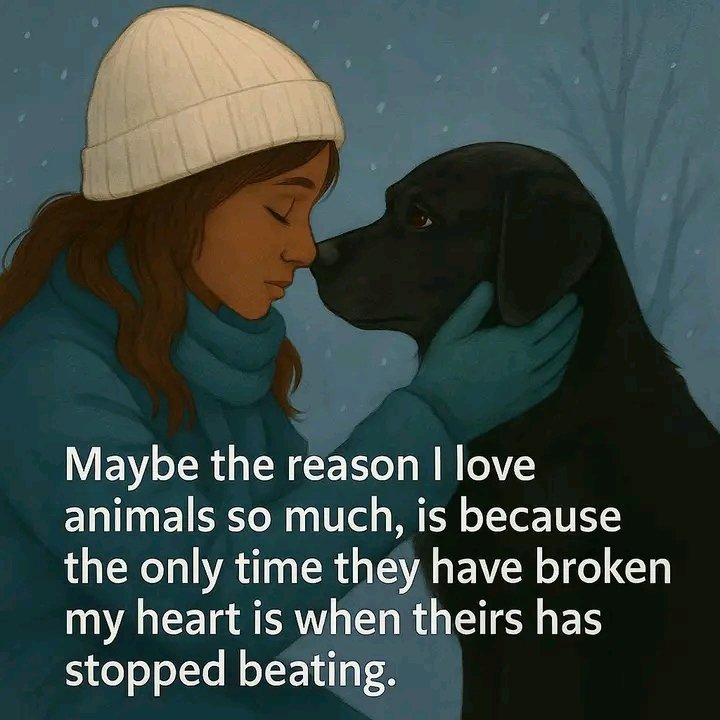 geezabigdave's tweet photo. Yes this is so true.  There is a deep hurt when you lose 💔 your best buddy and companion. https://t.co/hVC653cHHn