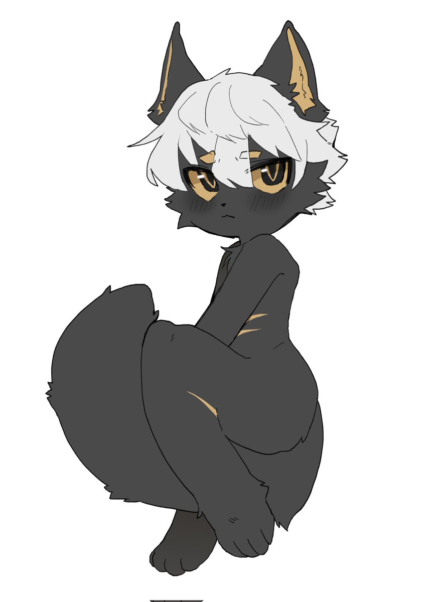 ディブル tweet media