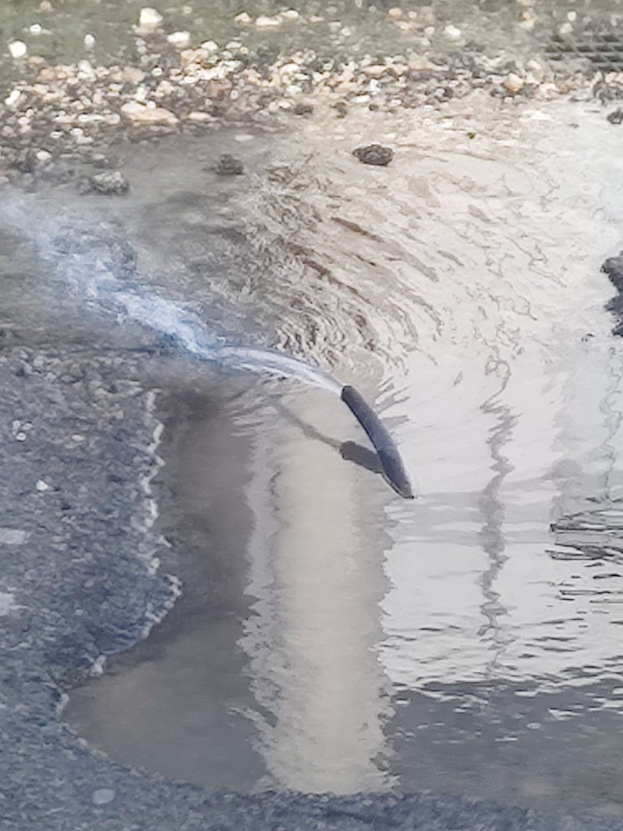 jorgegarma44's tweet photo. Desde el 2022 hasta ahora el mal trabajo de la @JAPAYOficial a dado a años ya de que no se repara una fuga de agua correctamente y a las pruebas me remito 26 de agosto 2022 hoy 14 de agosto de 2025 https://t.co/zyRMWwftFn
