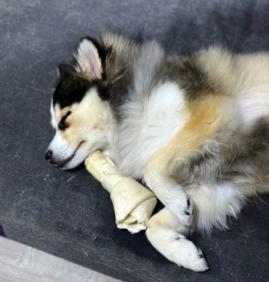 Nick Schmidt tweet media