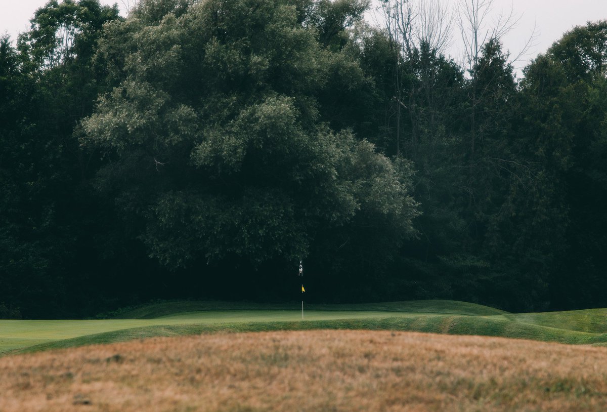 TravisEman's tweet photo. Hockley Valley ✨️  Golf, views, and a little slice of paradise https://t.co/g4XMI7cEY6