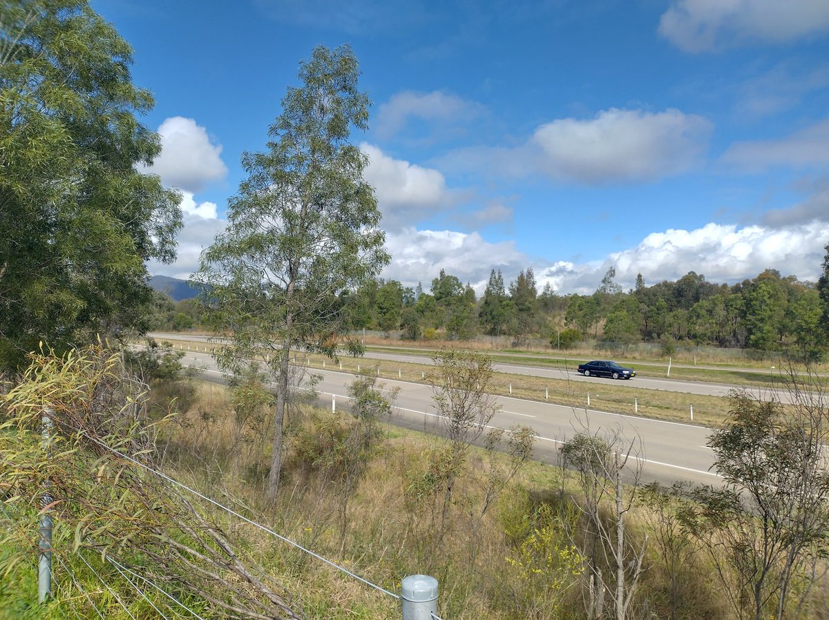 walkdawombat's tweet photo. "I'm not yet where I'm going, but I'm a long way from where I was"

No doubt about it - We The Kingdom 

#reststop #sydneybound https://t.co/cjFZuJLrU5