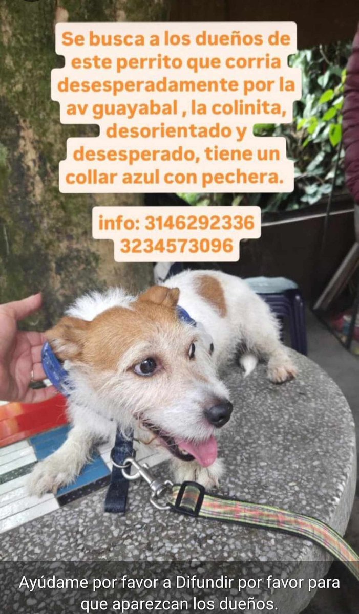 Rodeo Alto MeImporta tweet media