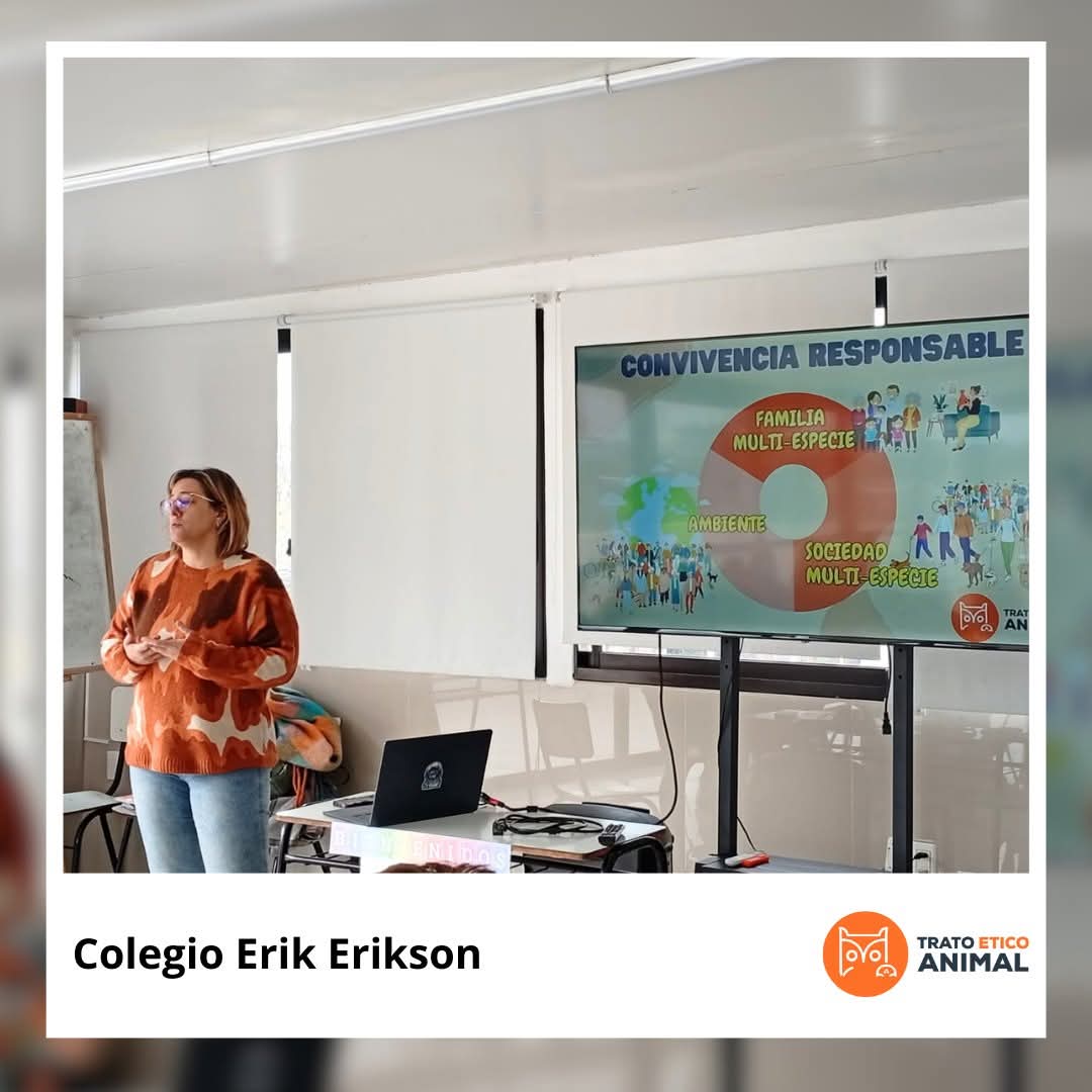 Estuvimos en el Liceo Erik Erikson, donde nuestra compañera Verónica abordó el tema de la convivencia responsable y los vínculos con los demás animales.
Agradecemos a la Dirección y los docentes por la invitación y la oportunidad de compartir este espacio.
#EducarEsElCamino
