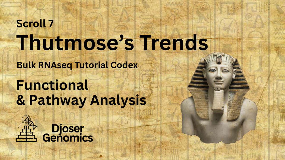 📜 Scroll VII: Thutmose's Trends!

Here, We identify Trends among our DEGs using Functional (GO) and Pathway (KEGG) Enrichment Analysis!

Check it out: djosergenomics.github.io/Scroll-7-Thutm…

#bioinformatics #RNAseq #scicomm