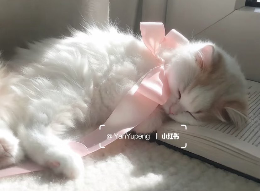 heartzjpg's tweet image. me if you care