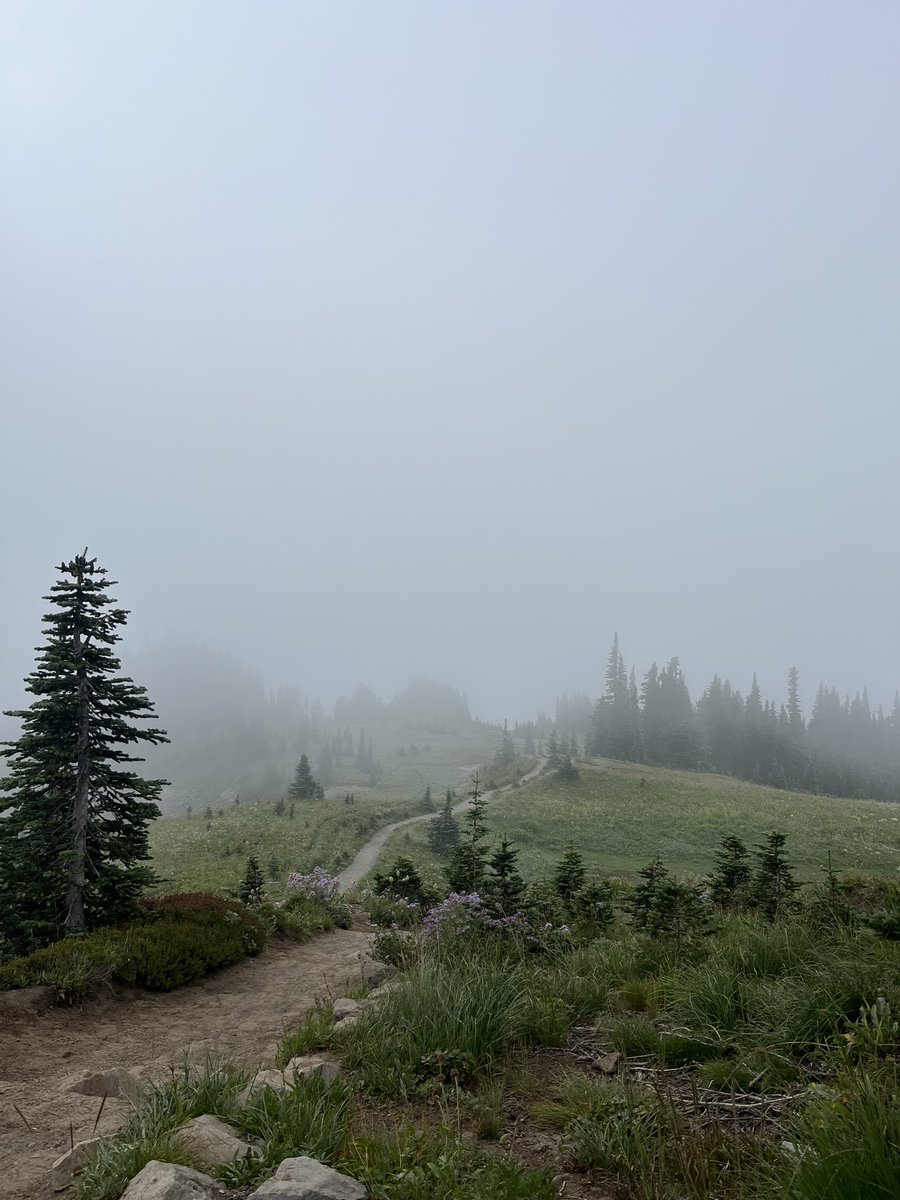 today i walked through the fog