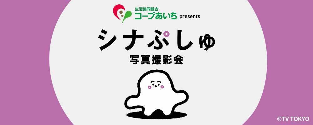 ぷしゅページです＊ 赤ちゃんが喜ぶ】シナぷしゅ公式24/12/16│赤ちゃんが泣き止む