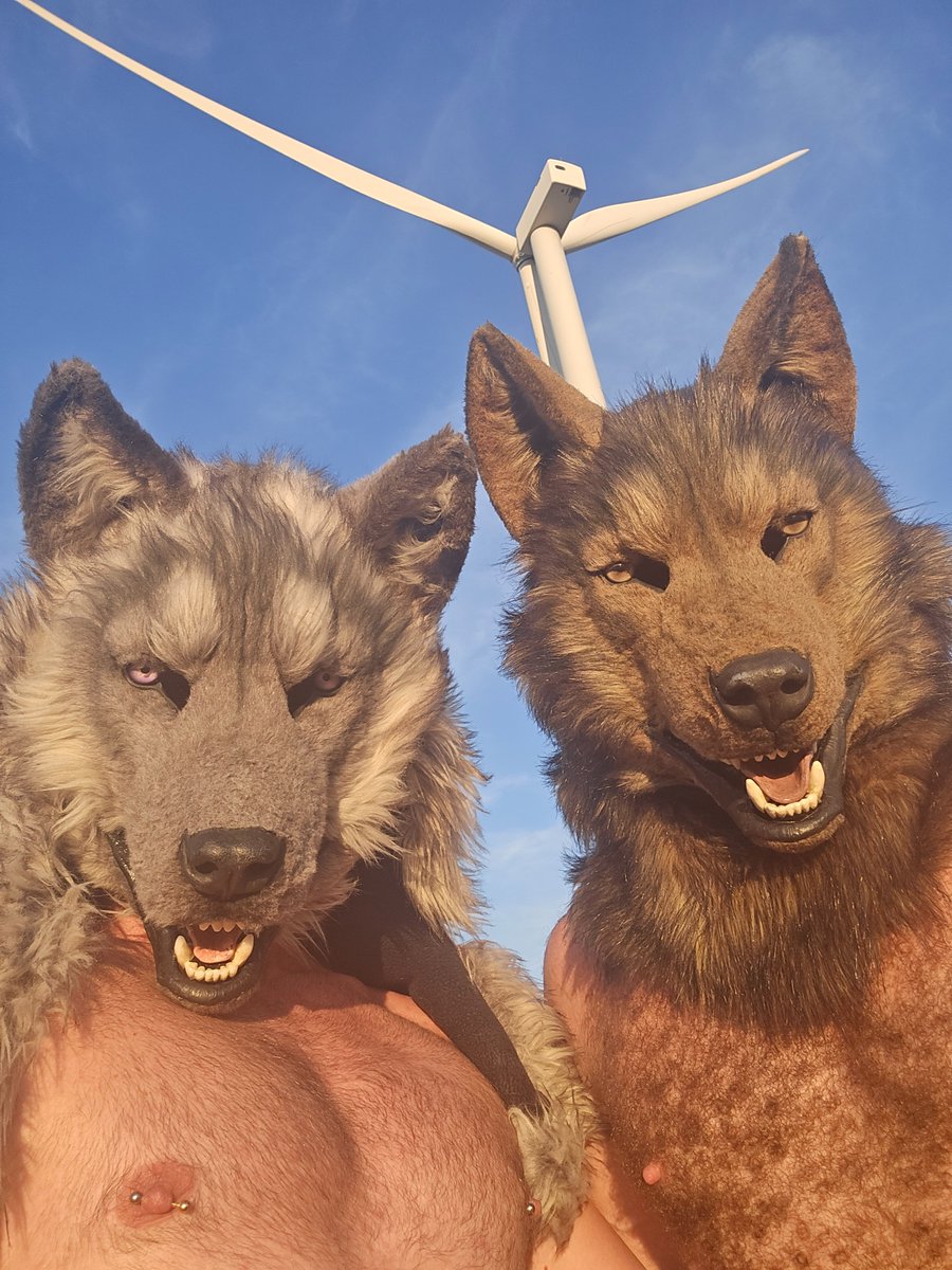 Road trip to Rocky mountain national Park