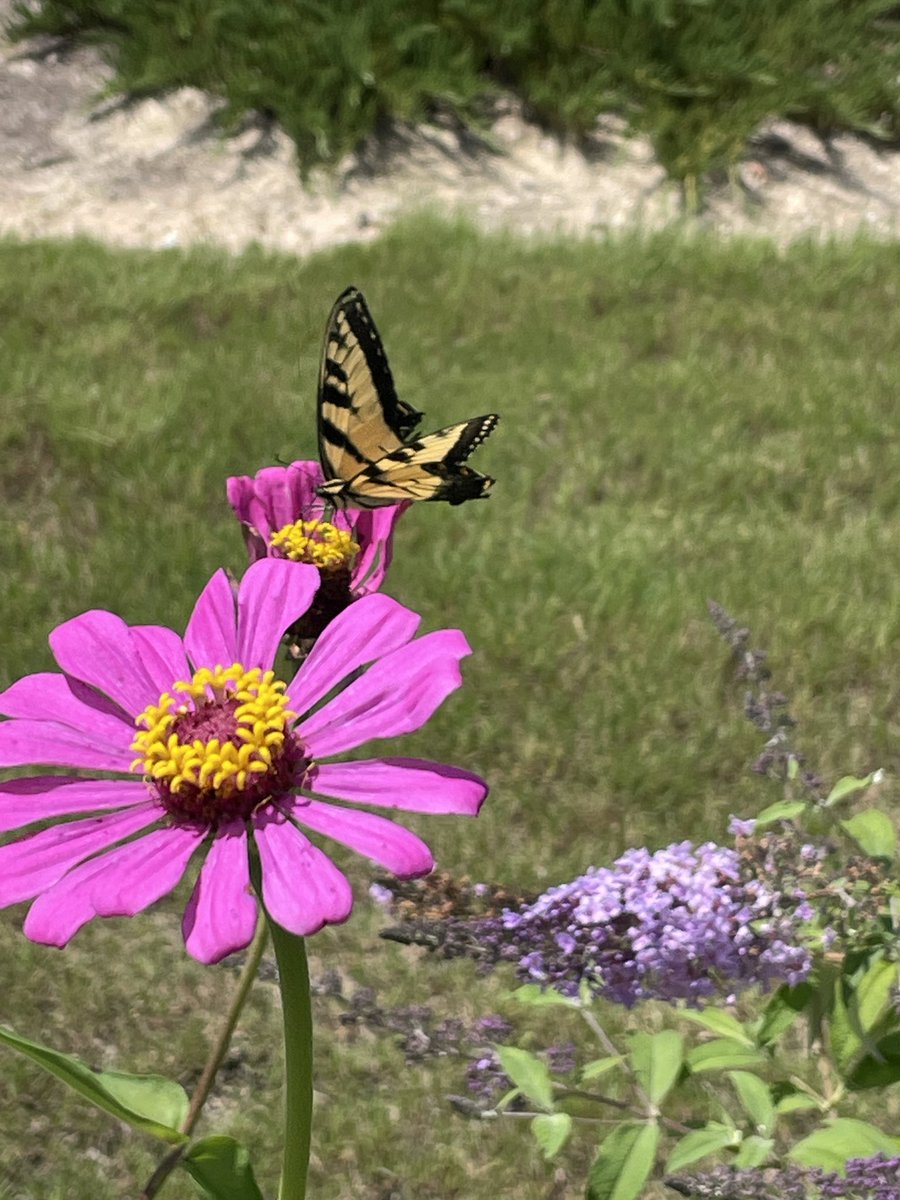 Bradford Barrett tweet media