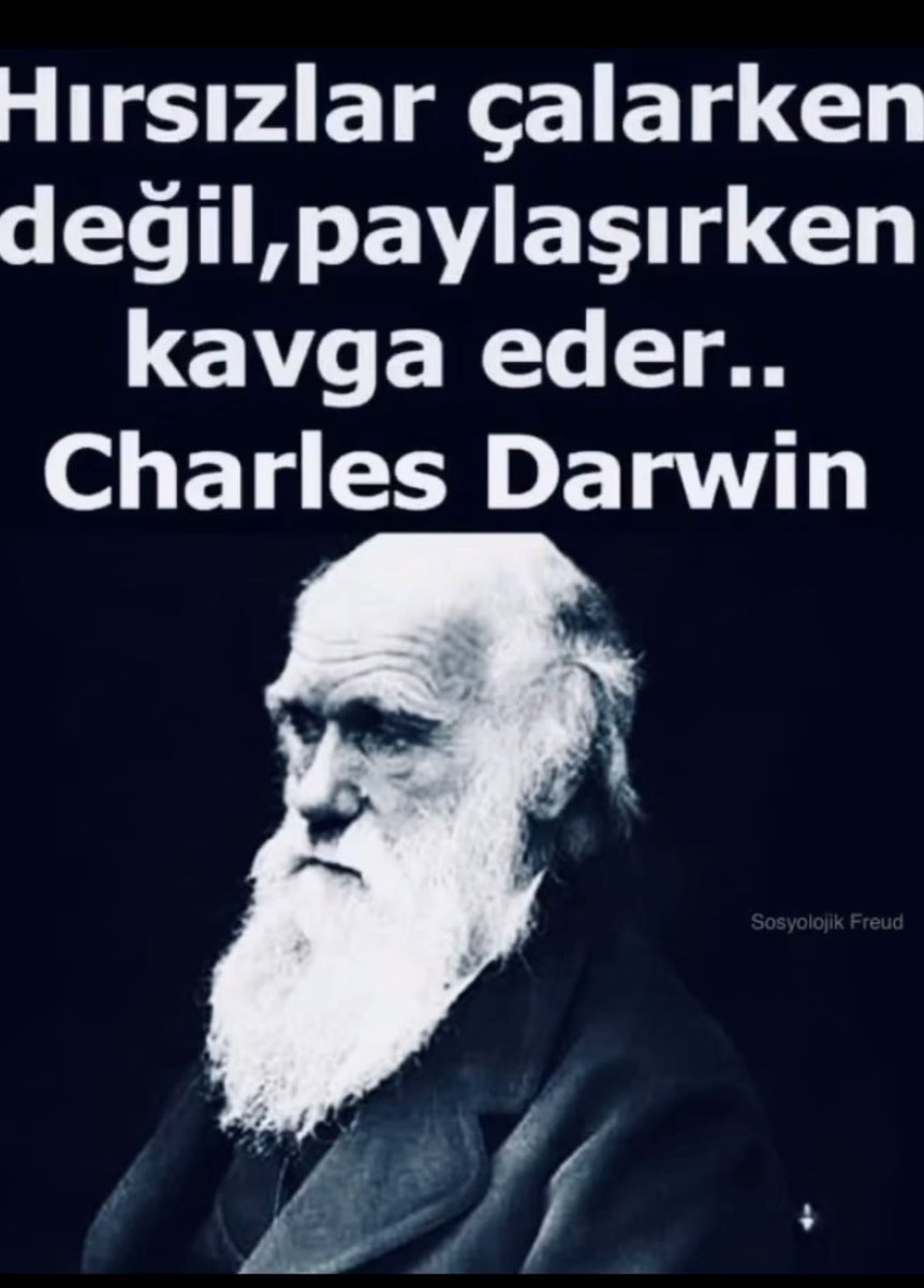 “Hırsızlar çalarken değil, paylaşırken kavga ederler.”
                         Charles Darwin