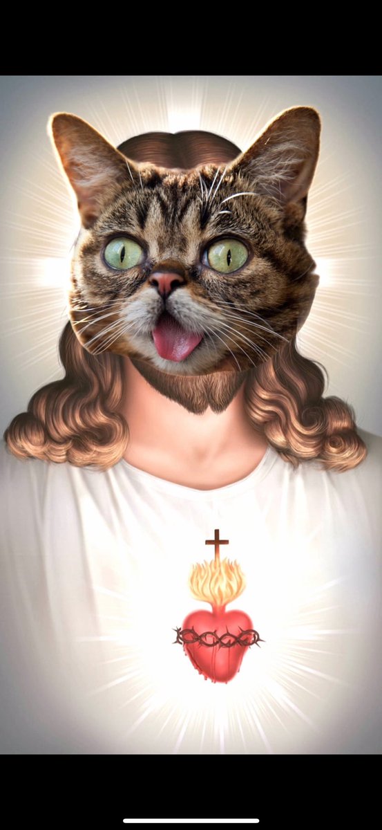 weissflipz's tweet photo. The saga continues. Got home from work today not only to see the #LILBUB chart up multiple x’s.. but more importantly the community growing and having fun with it. That’s what it’s about. Just happy to be here https://t.co/UgNwqIImzh
