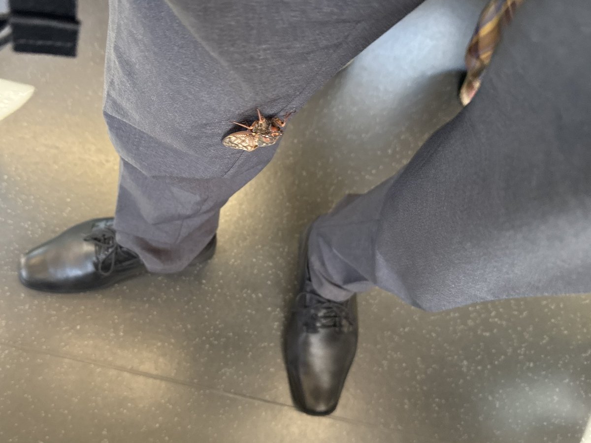 piroebc's tweet photo. 電車でつり革掴んで立ってたら

前に座ってる人達が俺の顔を見て怪訝そうに見ながら続々と立ち上がって離れていった

「え、おれ今日臭いのかな？」
「いや、うん〇でも踏んだかな？」

めっちゃ焦ってたら
足にこの子がしがみついてた笑 https://t.co/JWwzypajFJ