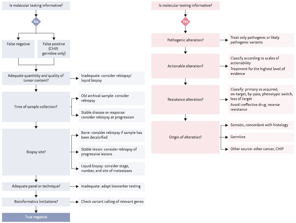 mihaela_aldea's tweet photo. @IASLC recommendations on Molecular Tumor Boards out in @JTOonline 
#PrecisionMedicine #MTB
https://t.co/KZQgHpTWfb https://t.co/qQe3GfmIlP