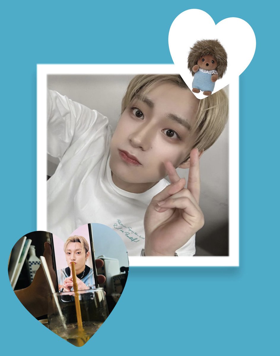 てぃあ🦔 tweet media