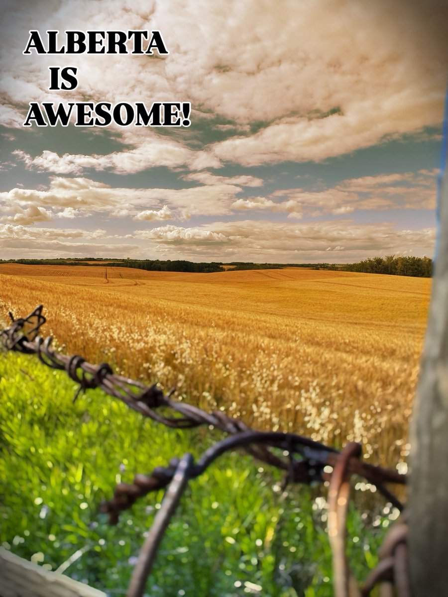 Just going to leave this here…