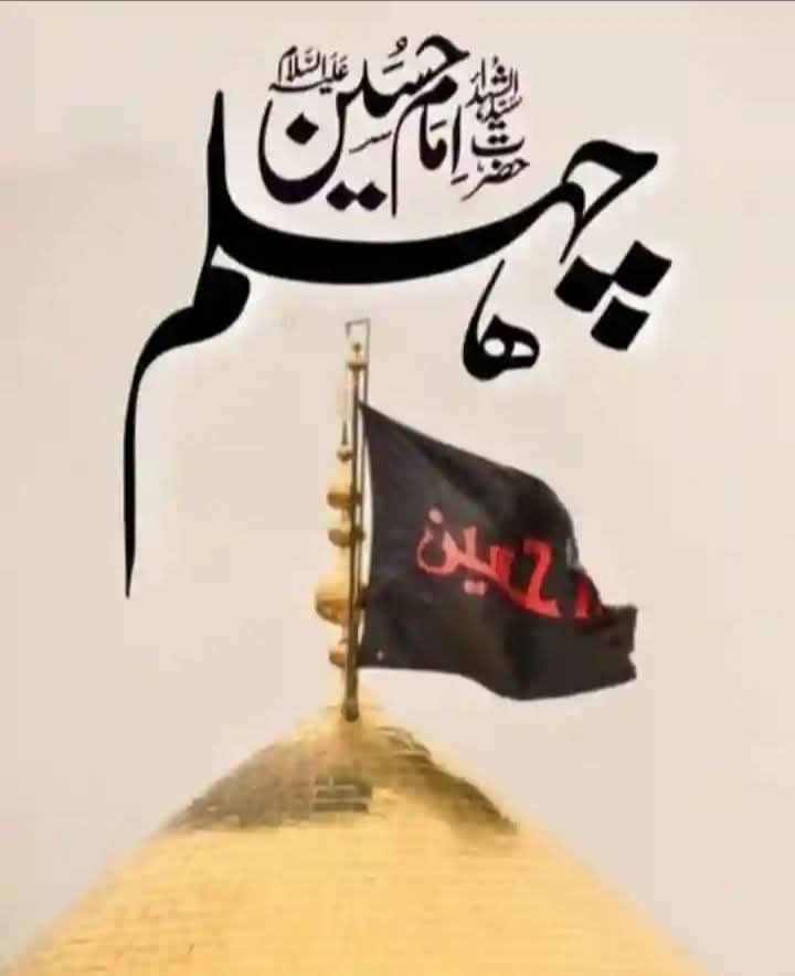 Shabir673's tweet photo. The Arbaeen walk is so beautiful, seeing people from all around the world headed to the same destination with the same goal.”

#Arbaeen2025 #Hussain #BROTHERHOOD https://t.co/CKQWoRUt5W
