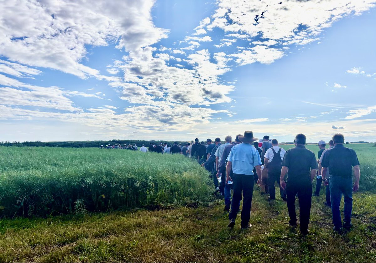 Thank you to our canola seed customers for coming to our plot tour to learn what is new in the <a href="/PioneerSeedsCA/">Pioneer Seeds Canada</a> line up. We hope this knowledge helps you make informed decisions about is important on your farm. It was a great night to share with our community. <a href="/farminginpearls/">J Andrashewski</a>