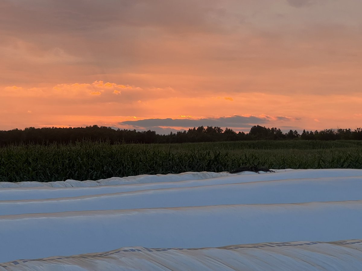 Bernie Kamphof tweet media