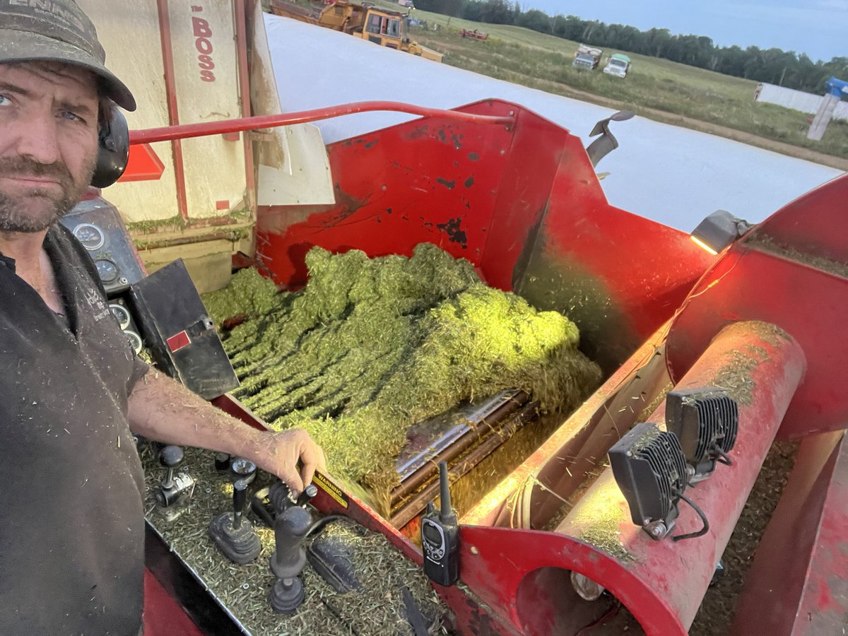 Bernie Kamphof tweet media