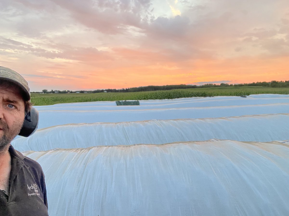 Bernie Kamphof tweet media