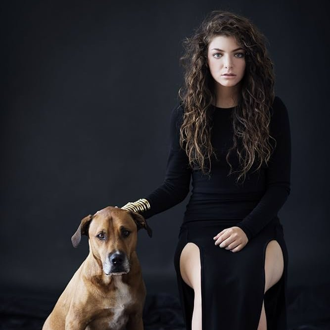 LordeOnChart's tweet photo. Billboard 200:

#195. Pure Heroine (–5)

[Peak: #3 | Weeks on Chart: 123]

— Remains the highest-charting album by a female artist released in 2013. https://t.co/JY8ZAZ79KM
