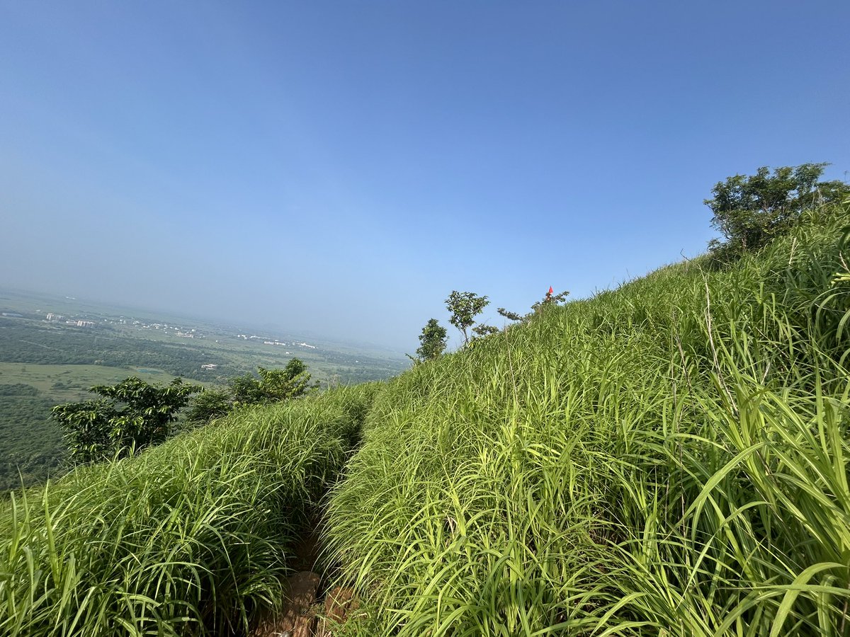 gajananlade's tweet photo. Barunei Reserve Forest at Khordha trek to Sitakund. Surreal experience through natural meadows... https://t.co/G5UMp3JaoP