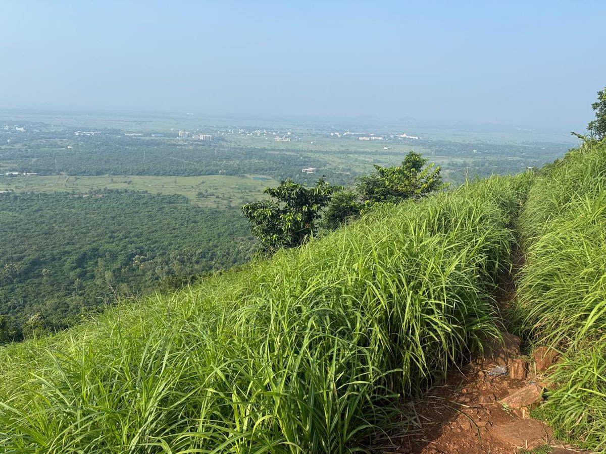 gajananlade's tweet photo. Barunei Reserve Forest at Khordha trek to Sitakund. Surreal experience through natural meadows... https://t.co/G5UMp3JaoP