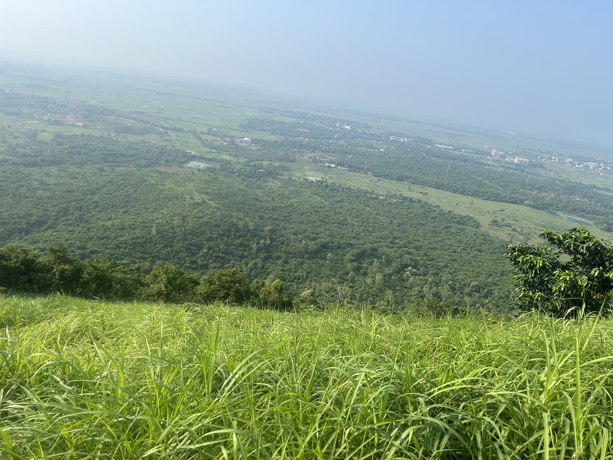 gajananlade's tweet photo. Barunei Reserve Forest at Khordha trek to Sitakund. Surreal experience through natural meadows... https://t.co/G5UMp3JaoP