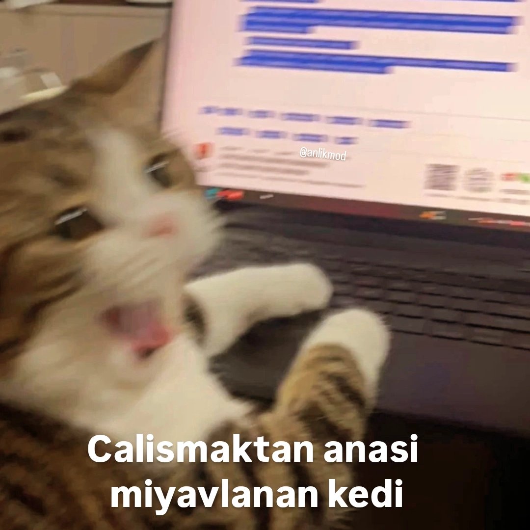 ANLIK (@anlikmod) on Twitter photo 