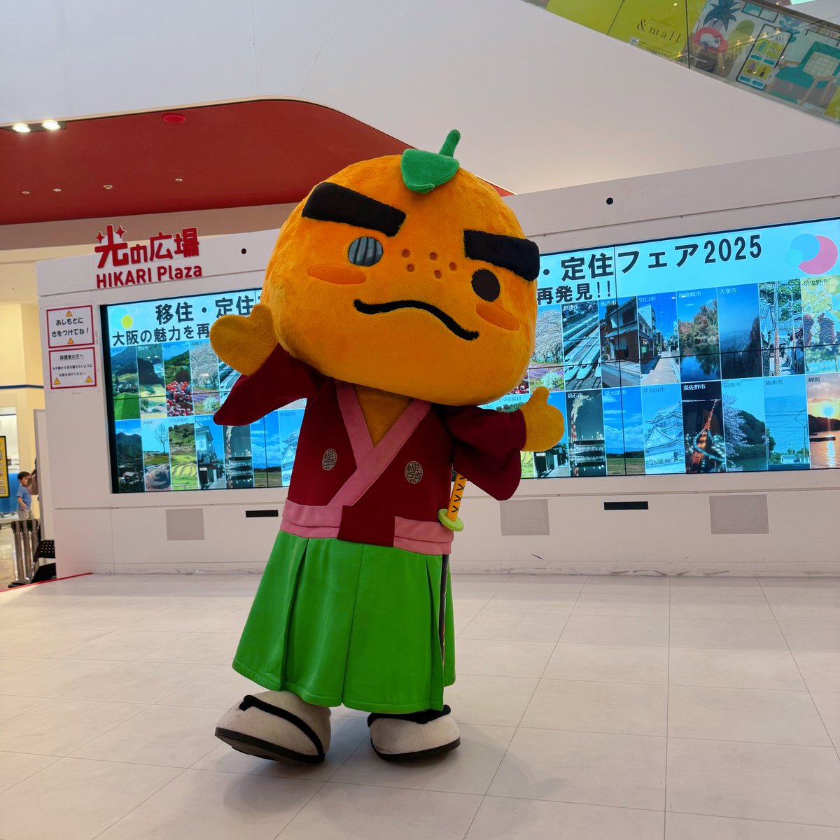 こんゆず～🍊 8/14(木)に ＃ららぽーとEXPOCITY で行われた ＃移住定住