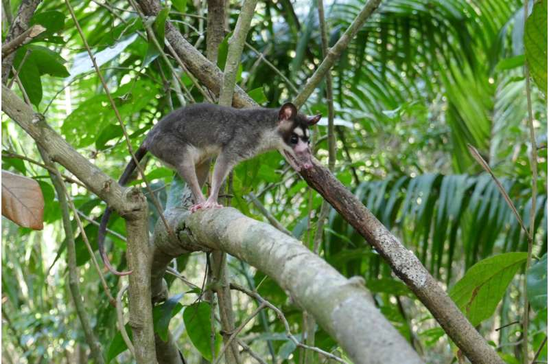 Biodiversity and Green Foundation tweet media