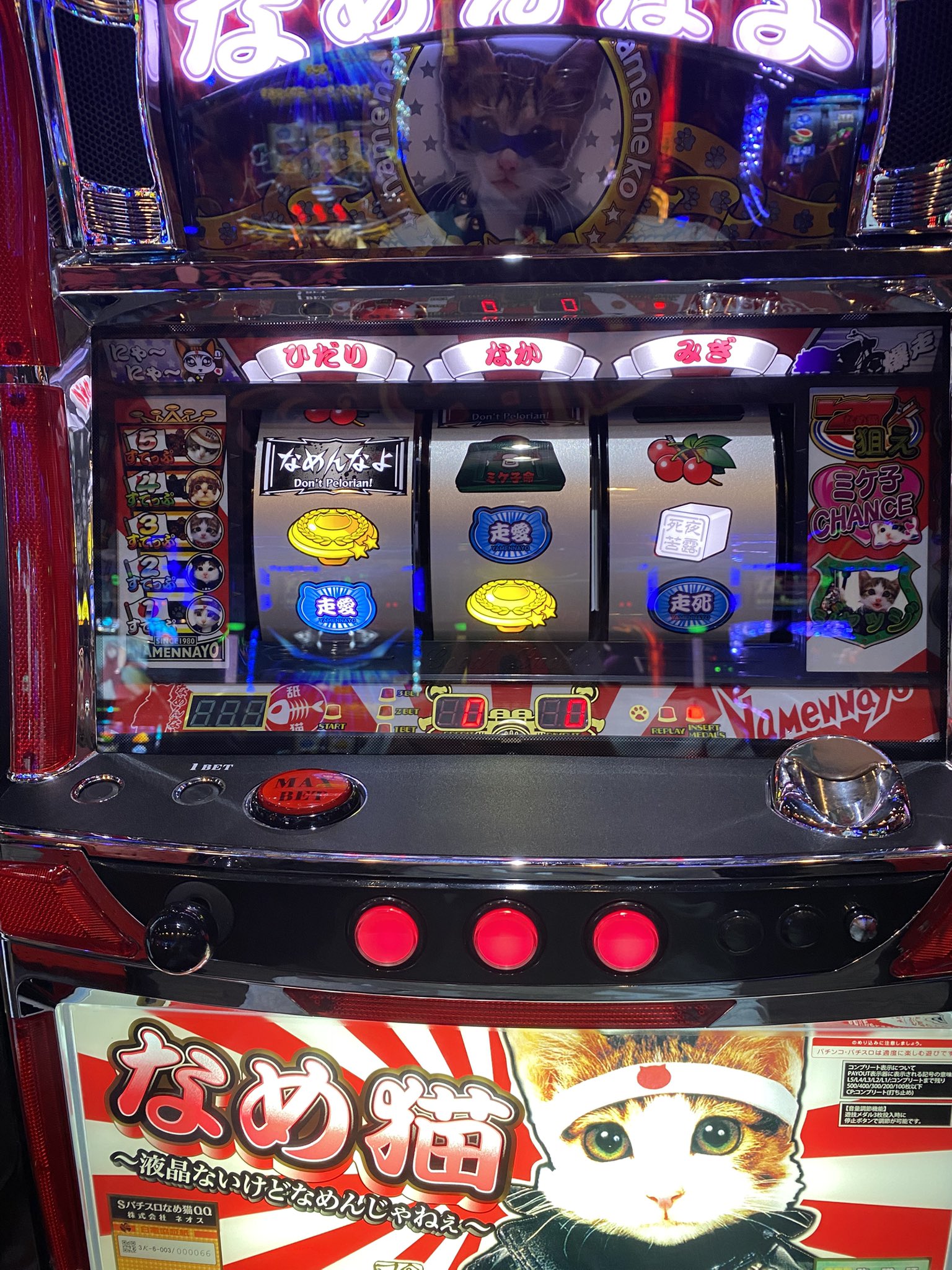 なめ猫 マッチ maxresdefault.jpg