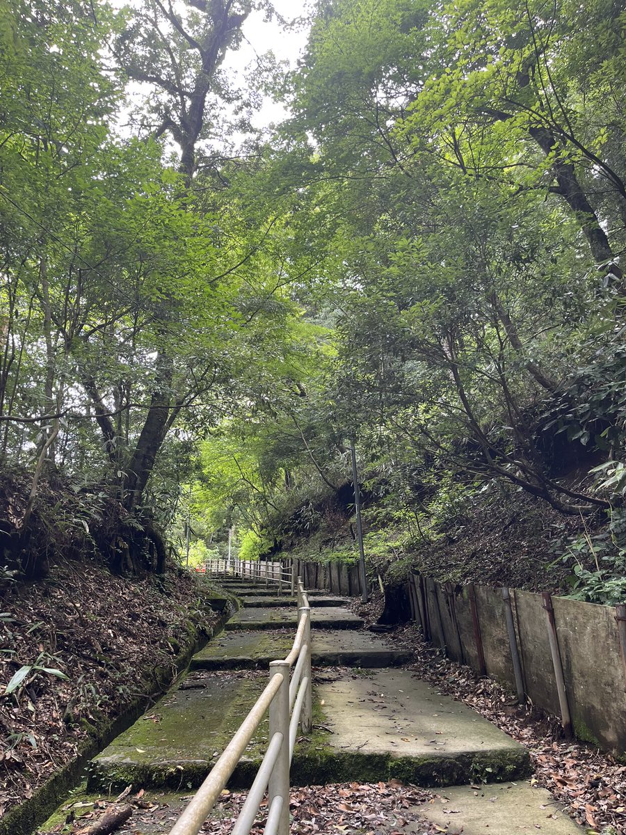 腹ごしらえに散策を。