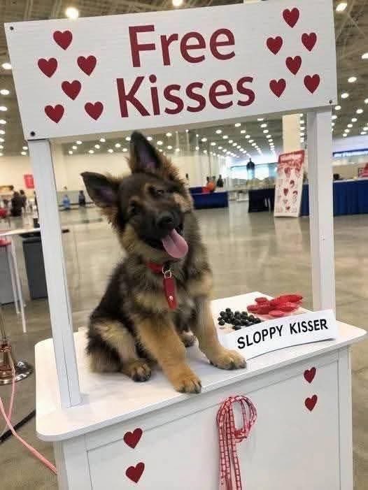 Don’t pass without leaving a big 💋