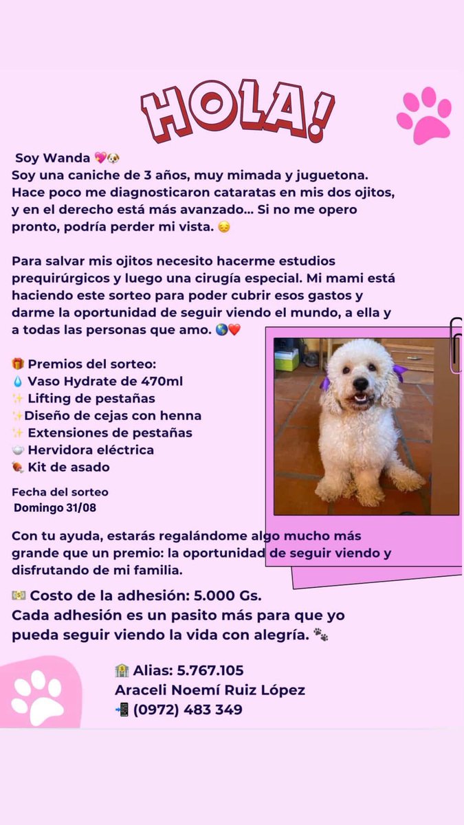 RT para ayudar a Wanda. ♥️